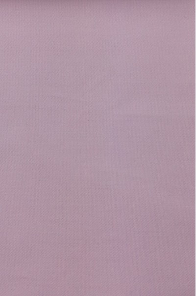 SD-KGYE  T/C  45/2*23  138*71    2/2   LT PINK 正面照